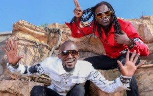 Radio and Weasel