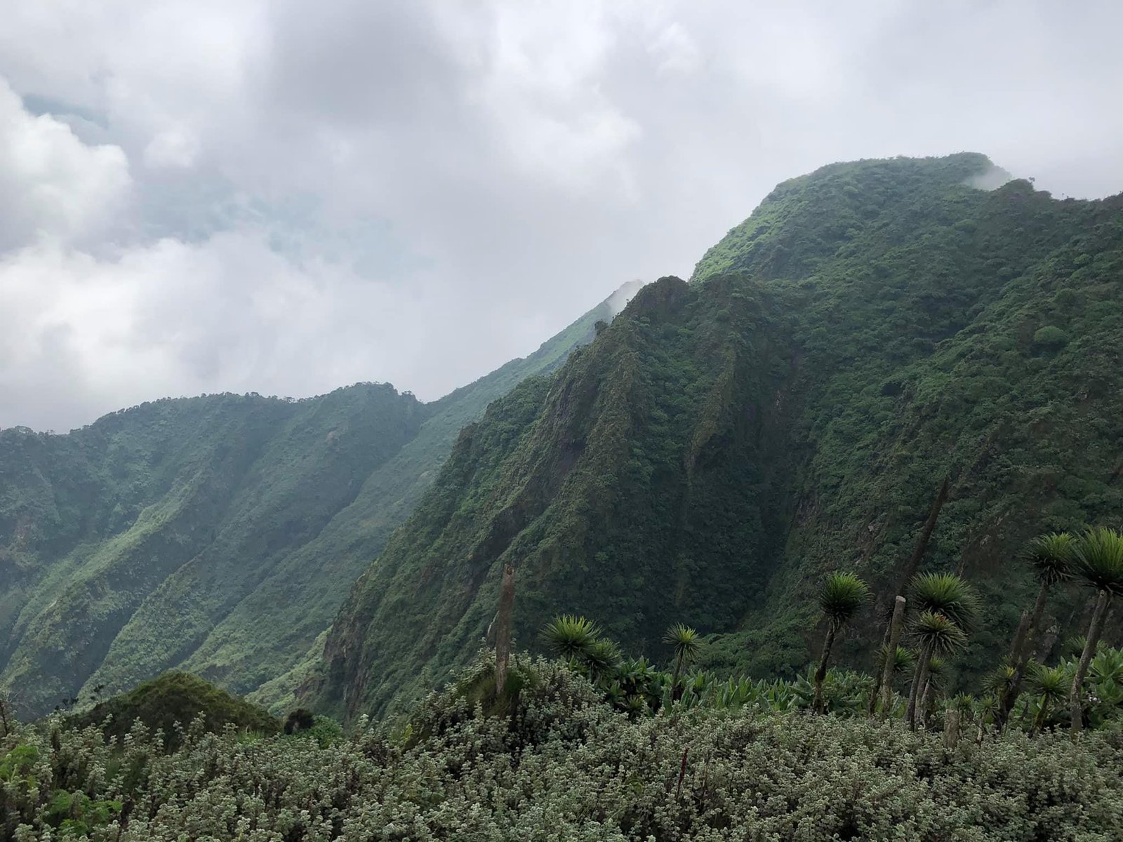 The Virungas: Hiking Mountain Muhavura and Sabyinyo - BigEye.UG