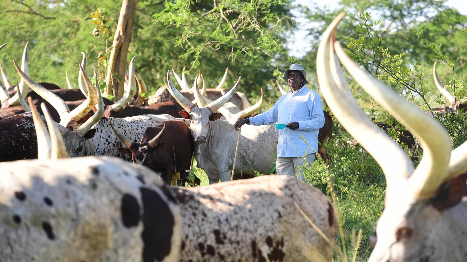 Dairy Month Celebrated Amidst Persistent Trade Tensions Within the East African Community